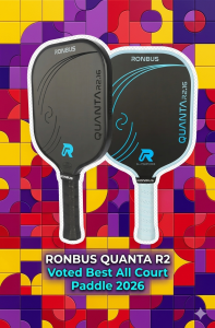 Best All Court Pickleball Paddle 2026